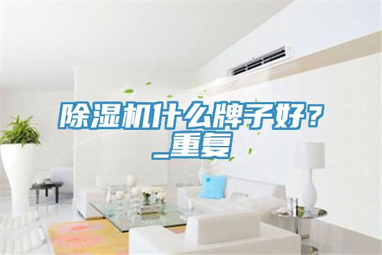 除湿机什么牌子好？_重复