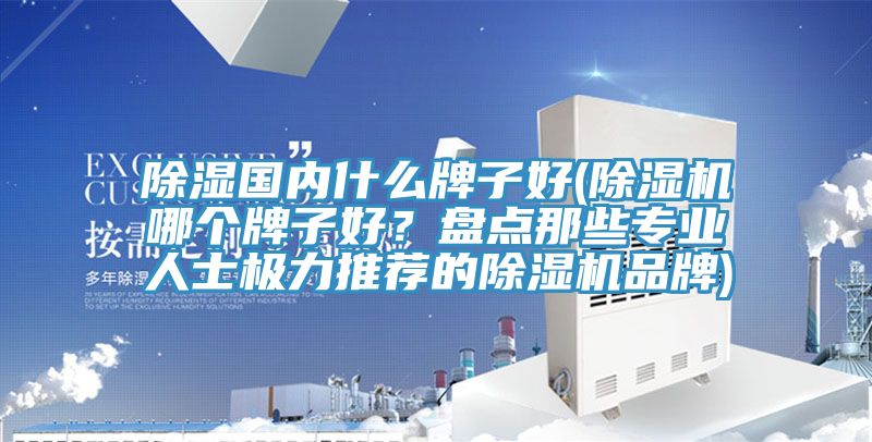 除湿国内什么牌子好(除湿机哪个牌子好？盘点那些专业人士极力推荐的除湿机品牌)