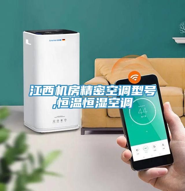 江西机房精密空调型号,恒温恒湿空调