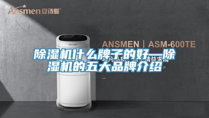 除湿机什么牌子的好—除湿机的五大品牌介绍