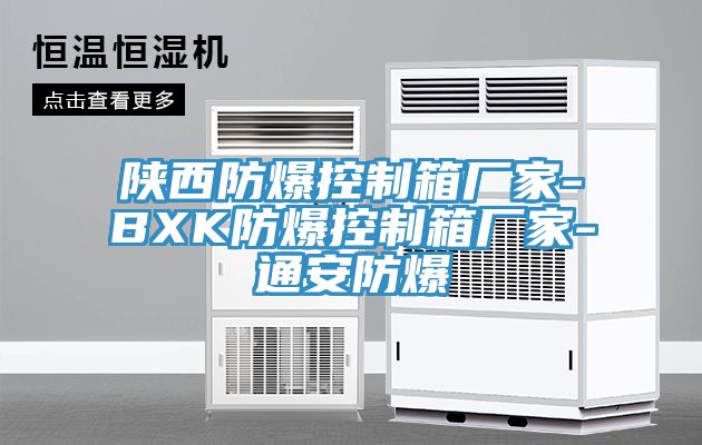 陕西防爆控制箱厂家-BXK防爆控制箱厂家-通安防爆