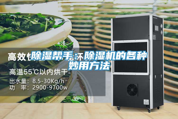 除湿帮手：除湿机的各种妙用方法