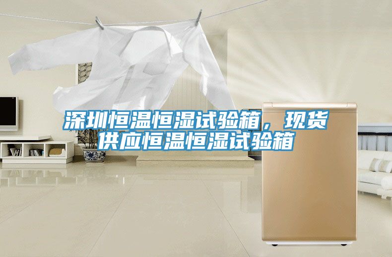 深圳恒温恒湿试验箱，现货供应恒温恒湿试验箱