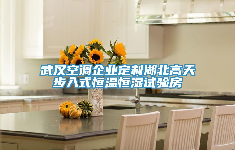 武汉空调企业定制湖北高天步入式恒温恒湿试验房