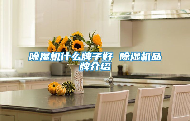 除湿机什么牌子好 除湿机品牌介绍