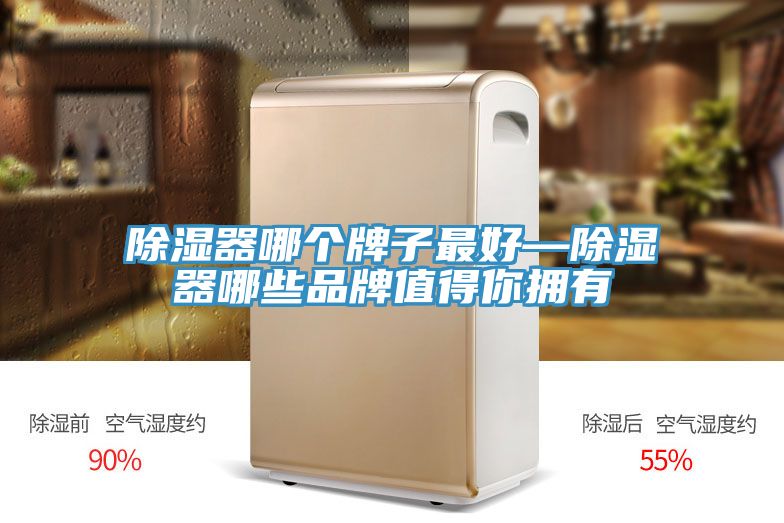 除湿器哪个牌子最好—除湿器哪些品牌值得你拥有