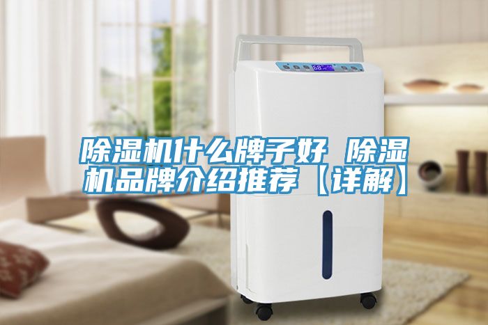 除湿机什么牌子好 除湿机品牌介绍推荐【详解】