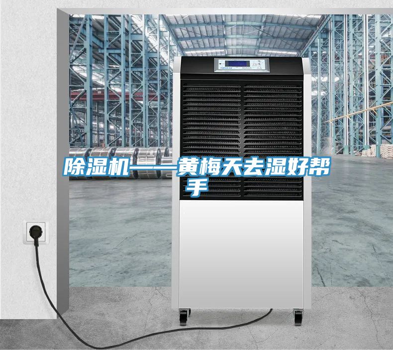 除湿机——黄梅天去湿好帮手