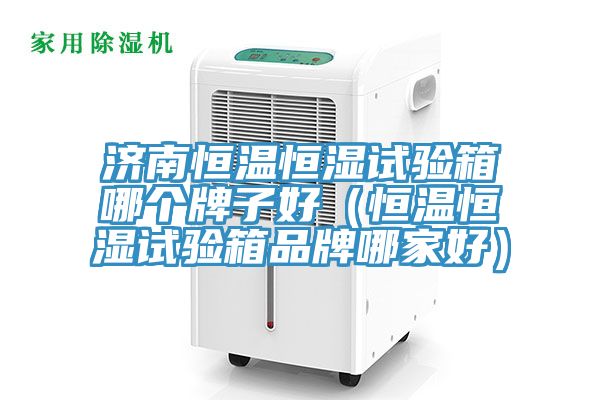 济南恒温恒湿试验箱哪个牌子好（恒温恒湿试验箱品牌哪家好）