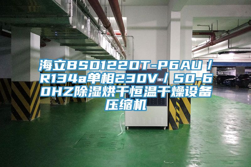 海立BSD122DT-P6AU／R134a单相230V／50-60HZ除湿烘干恒温干燥设备压缩机