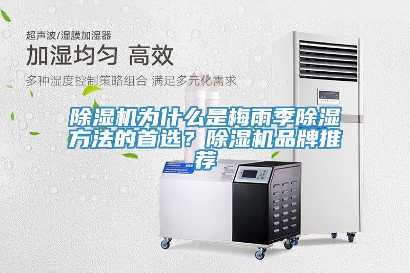 除湿机为什么是梅雨季除湿方法的首选？除湿机品牌推荐