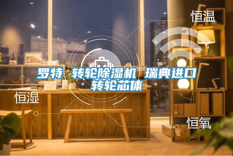 罗特 转轮除湿机 瑞典进口转轮芯体