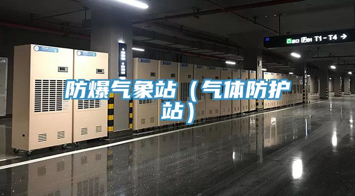 防爆气象站（气体防护站）