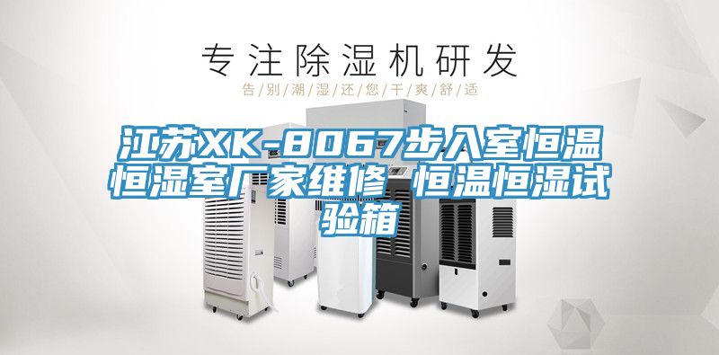 江苏XK-8067步入室恒温恒湿室厂家维修 恒温恒湿试验箱