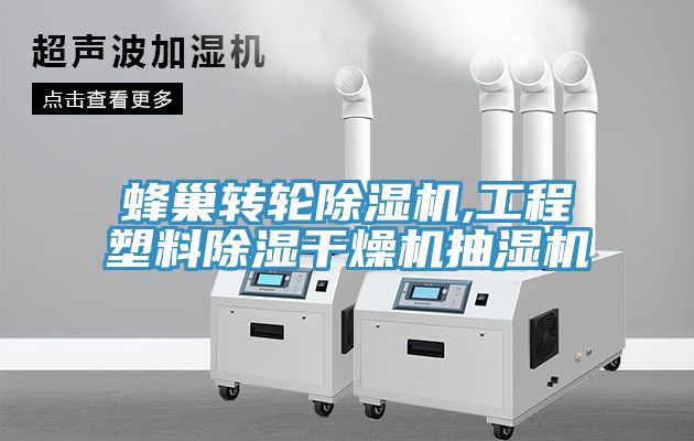蜂巢转轮除湿机,工程塑料除湿干燥机抽湿机