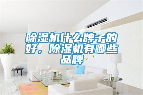 除湿机什么牌子的好，除湿机有哪些品牌