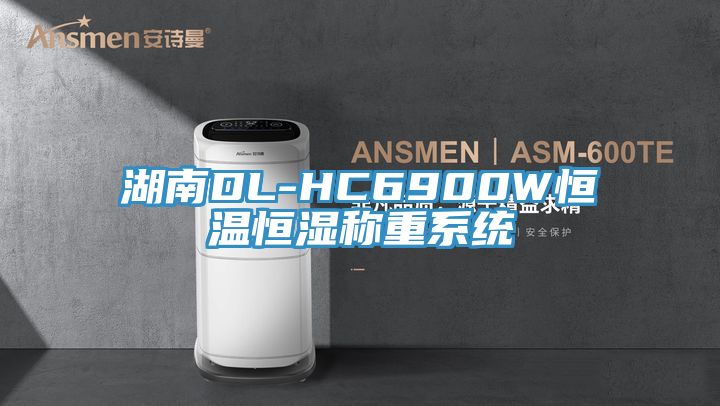 湖南DL-HC6900W恒温恒湿称重系统