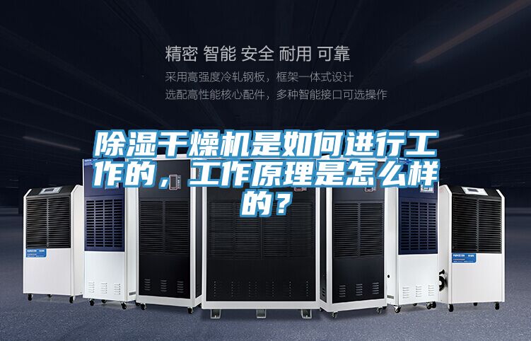 除湿干燥机是如何进行工作的，工作原理是怎么样的？