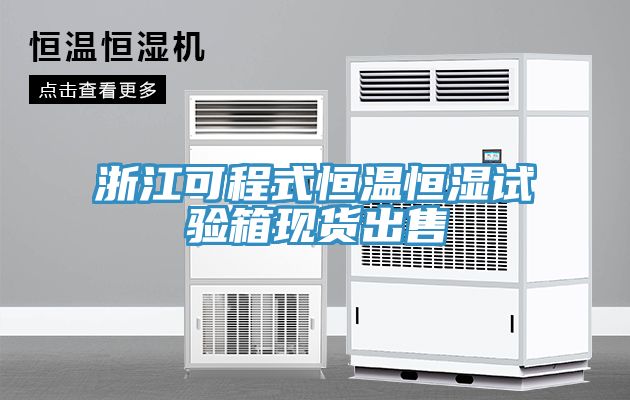 浙江可程式恒温恒湿试验箱现货出售