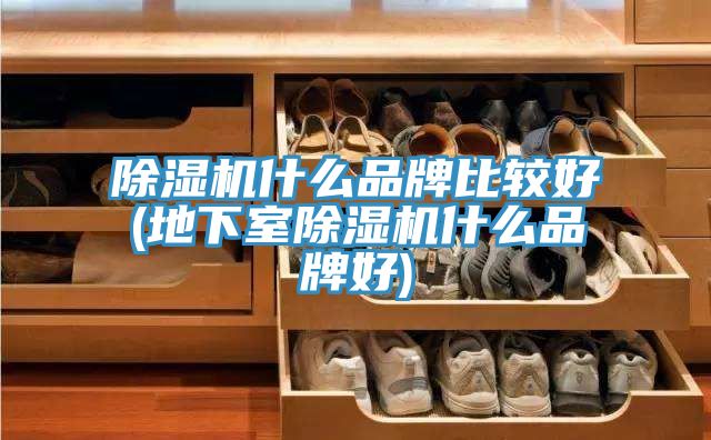 除湿机什么品牌比较好(地下室除湿机什么品牌好)