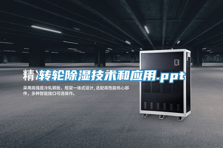 转轮除湿技术和应用.ppt