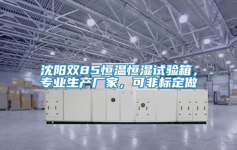 沈阳双85恒温恒湿试验箱，专业生产厂家，可非标定做