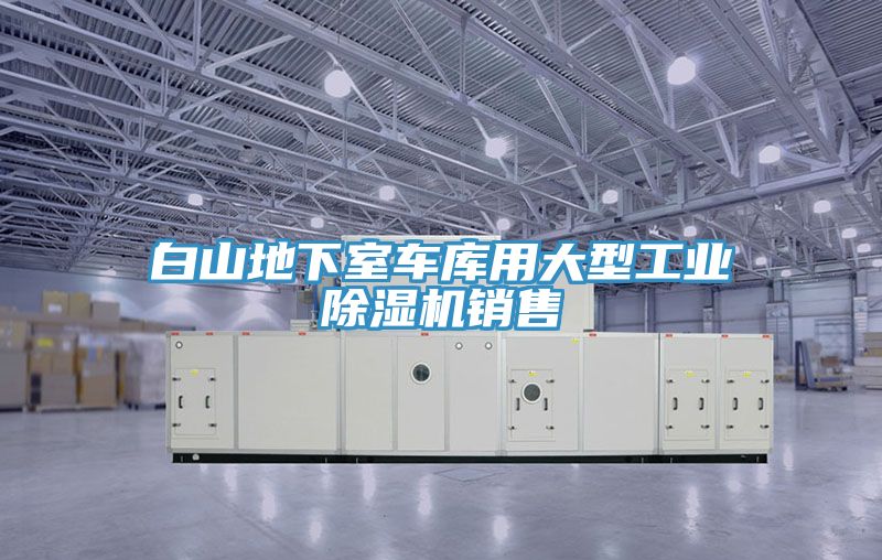 白山地下室车库用大型工业除湿机销售