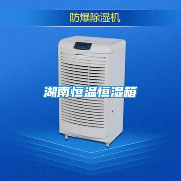 湖南恒温恒湿箱