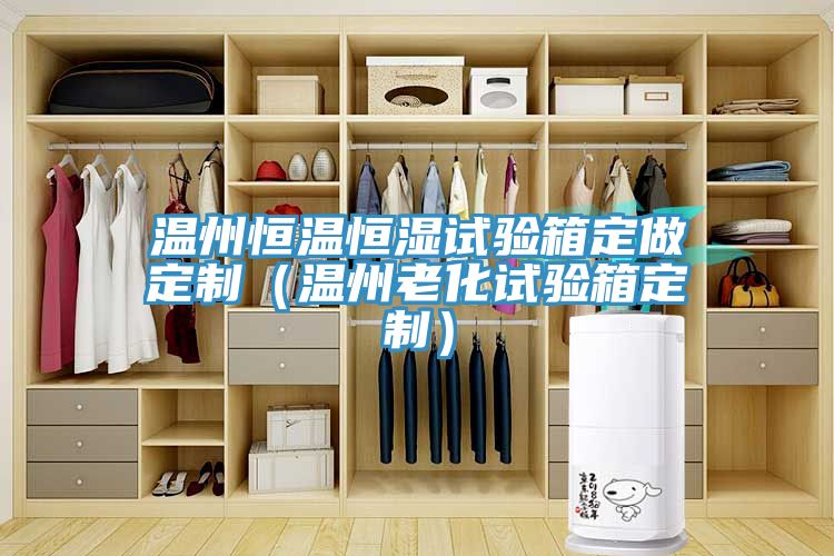 温州恒温恒湿试验箱定做定制（温州老化试验箱定制）