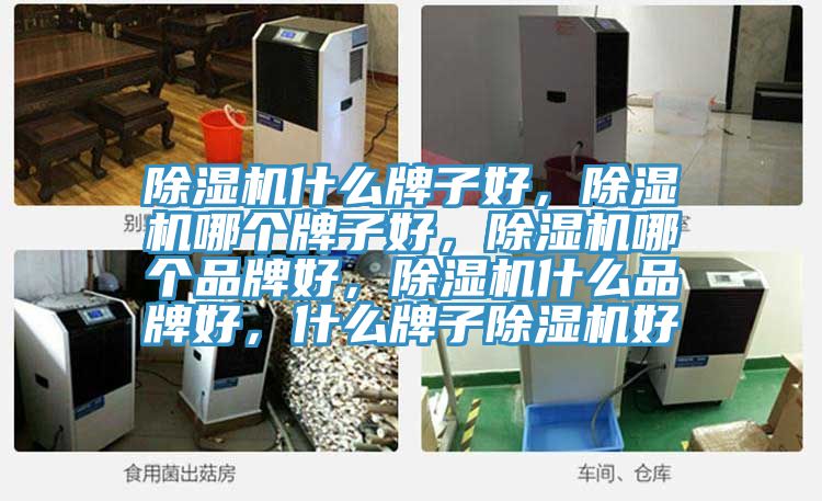 除湿机什么牌子好，除湿机哪个牌子好，除湿机哪个品牌好，除湿机什么品牌好，什么牌子除湿机好