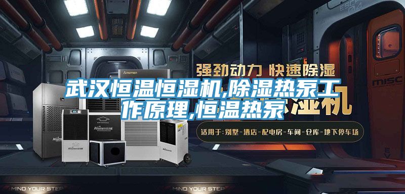 武汉恒温恒湿机,除湿热泵工作原理,恒温热泵