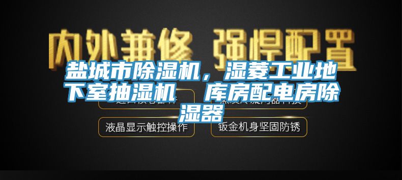 盐城市除湿机，湿菱工业地下室抽湿机  库房配电房除湿器