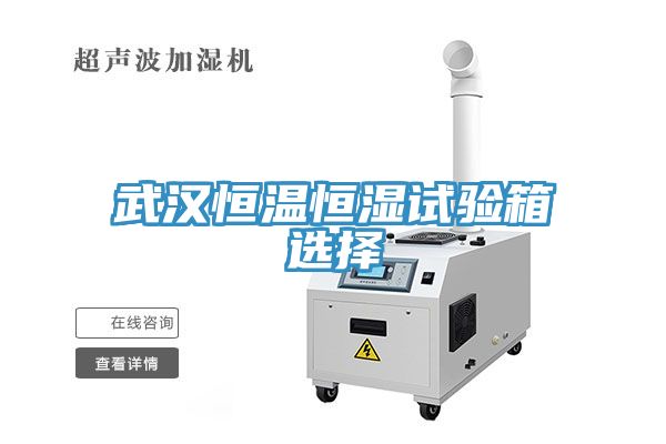 武汉恒温恒湿试验箱选择