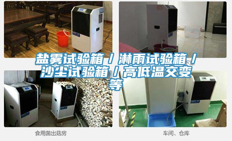 盐雾试验箱／淋雨试验箱／沙尘试验箱／高低温交变等