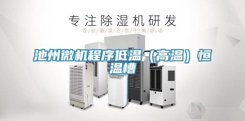 池州微机程序低温（高温）恒温槽