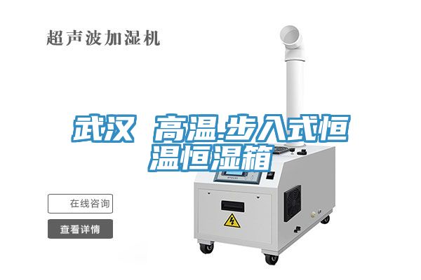 武汉 高温.步入式恒温恒湿箱