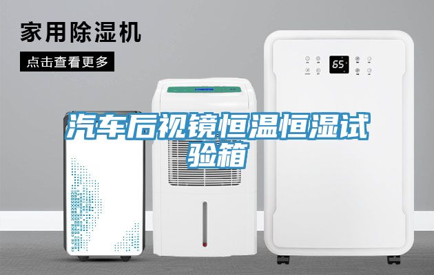 汽车后视镜恒温恒湿试验箱