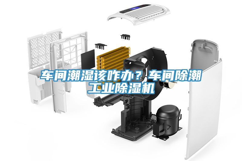 车间潮湿该咋办？车间除潮工业除湿机