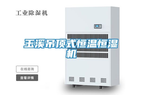 玉溪吊顶式恒温恒湿机
