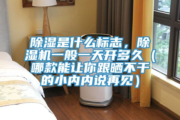除湿是什么标志，除湿机一般一天开多久（哪款能让你跟晒不干的小内内说再见）