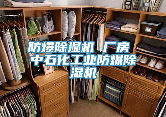 防爆除湿机 厂房 中石化工业防爆除湿机