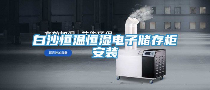 白沙恒温恒湿电子储存柜安装