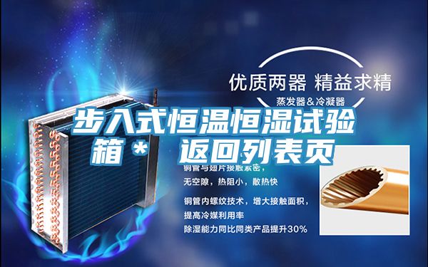步入式恒温恒湿试验箱＊ 返回列表页