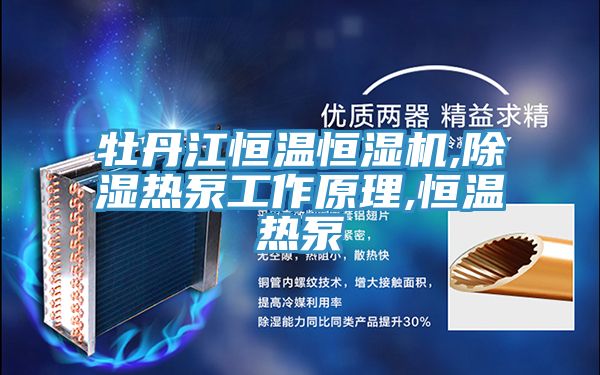牡丹江恒温恒湿机,除湿热泵工作原理,恒温热泵