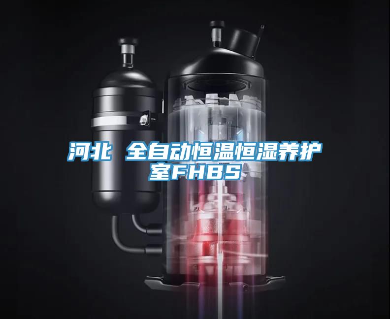 河北 全自动恒温恒湿养护室FHBS