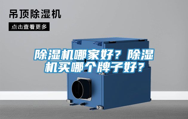 除湿机哪家好？除湿机买哪个牌子好？
