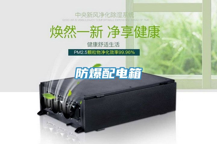 防爆配电箱