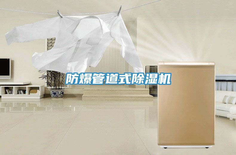 防爆管道式除湿机
