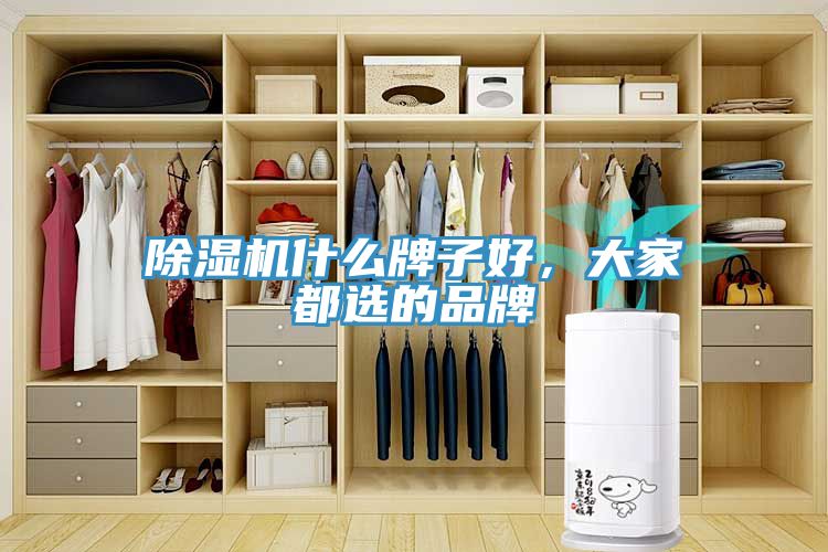 除湿机什么牌子好，大家都选的品牌