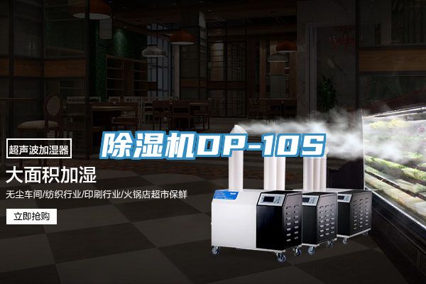 除湿机DP-10S
